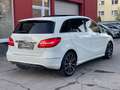 Mercedes-Benz B 220 d*EXCLUSIVE-PAKET*PANORAMA*KAMERA*LEDER* Weiß - thumbnail 5