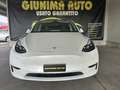 Tesla Model Y IVA ESPOSTA - Long Range Dual Motor awd Bianco - thumbnail 2