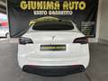 Tesla Model Y IVA ESPOSTA - Long Range Dual Motor awd Bianco - thumbnail 5