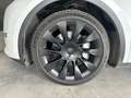 Tesla Model Y IVA ESPOSTA - Long Range Dual Motor awd Bianco - thumbnail 13