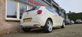 Alfa Romeo MiTo 1.4 Progression Airco! Leuke/Nette Auto! Lichtmeta Wit - thumbnail 15