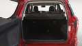 Ford EcoSport ST LINE 1.0T ECOBOOST 92KW 125CV 5P Rojo - thumbnail 13