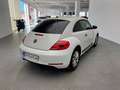 Volkswagen Beetle 1.6TDI 53 Edition Blanco - thumbnail 7