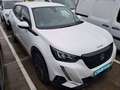 Peugeot 2008 Active Pack BlueHDI 81kW (110CV) Blanco - thumbnail 4