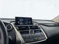 Lexus NX 300 NX Hybrid 4WD Executive Siyah - thumbnail 19