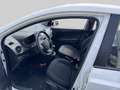 Hyundai i10 1.0i Private Lease Edition KEURIGE AUTO // LAGE KM Wit - thumbnail 12