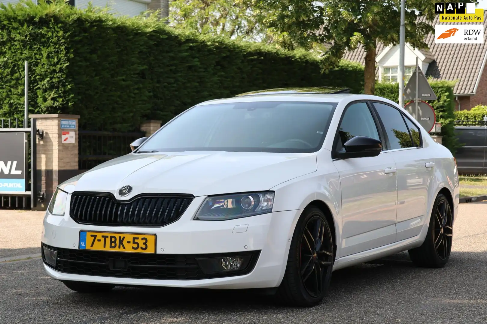 Skoda Octavia 1.2 TSI Greentech Elegance Businessline | NAVI | C Wit - 1