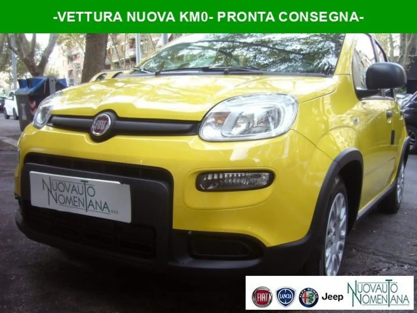 Fiat Panda 1.0 FireFly S&S Hybrid Pandina Urban Km 0 Giallo - 1