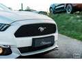 Ford Mustang Fastback Ecoboost 2.3 317 ch BVM6 Blanc - thumbnail 26