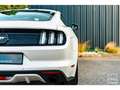 Ford Mustang Fastback Ecoboost 2.3 317 ch BVM6 Blanc - thumbnail 23