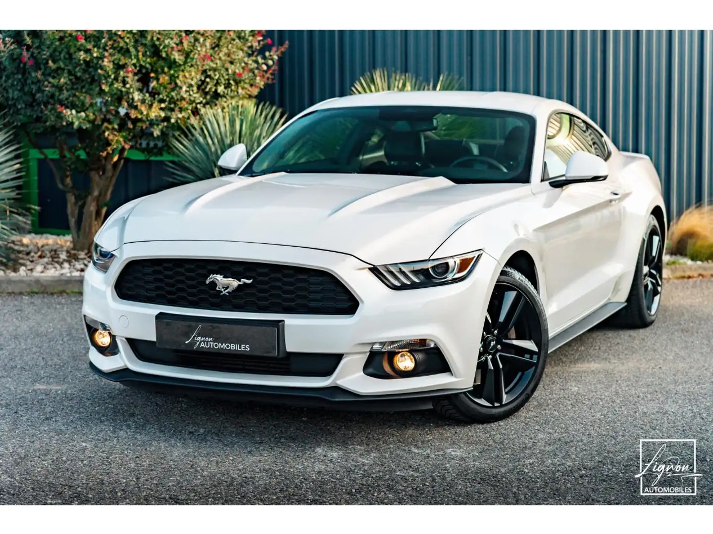 Ford Mustang Fastback Ecoboost 2.3 317 ch BVM6 Blanc - 1