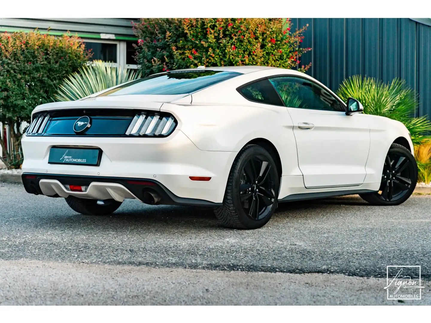Ford Mustang Fastback Ecoboost 2.3 317 ch BVM6 Blanc - 2