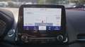 Ford EcoSport 1.0 EcoBoost ST-Line Totwinkel B&O Navi Gris - thumbnail 13