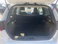 Ford Fiesta VAN 2P 1.0 125 CV START & STOP TREND Bianco - thumbnail 3