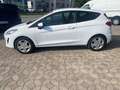 Ford Fiesta VAN 2P 1.0 125 CV START & STOP TREND Bianco - thumbnail 1
