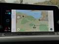 Volkswagen Golf VIII Variant 2.0 TDI Life DSG ACC LED Grau - thumbnail 27