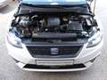 SEAT Ibiza 1,0 Reference Weiß - thumbnail 9