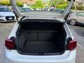 Volkswagen Polo 1.6 TDI 95 CV DSG 5p Comfortline NEOPATENTATI Bianco - thumbnail 10
