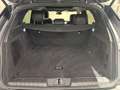 Land Rover Range Rover Sport 3.0d i6 mhev Dynamic SE awd 249cv auto Grau - thumbnail 17