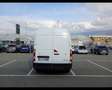 Renault Master T35 2.3 DCI 135CV L2H2 ICE Weiß - thumbnail 8