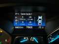 Ford Kuga 2.0 TDCI 180 CV S&S 4WD Powershift Vignale !! Grigio - thumbnail 12
