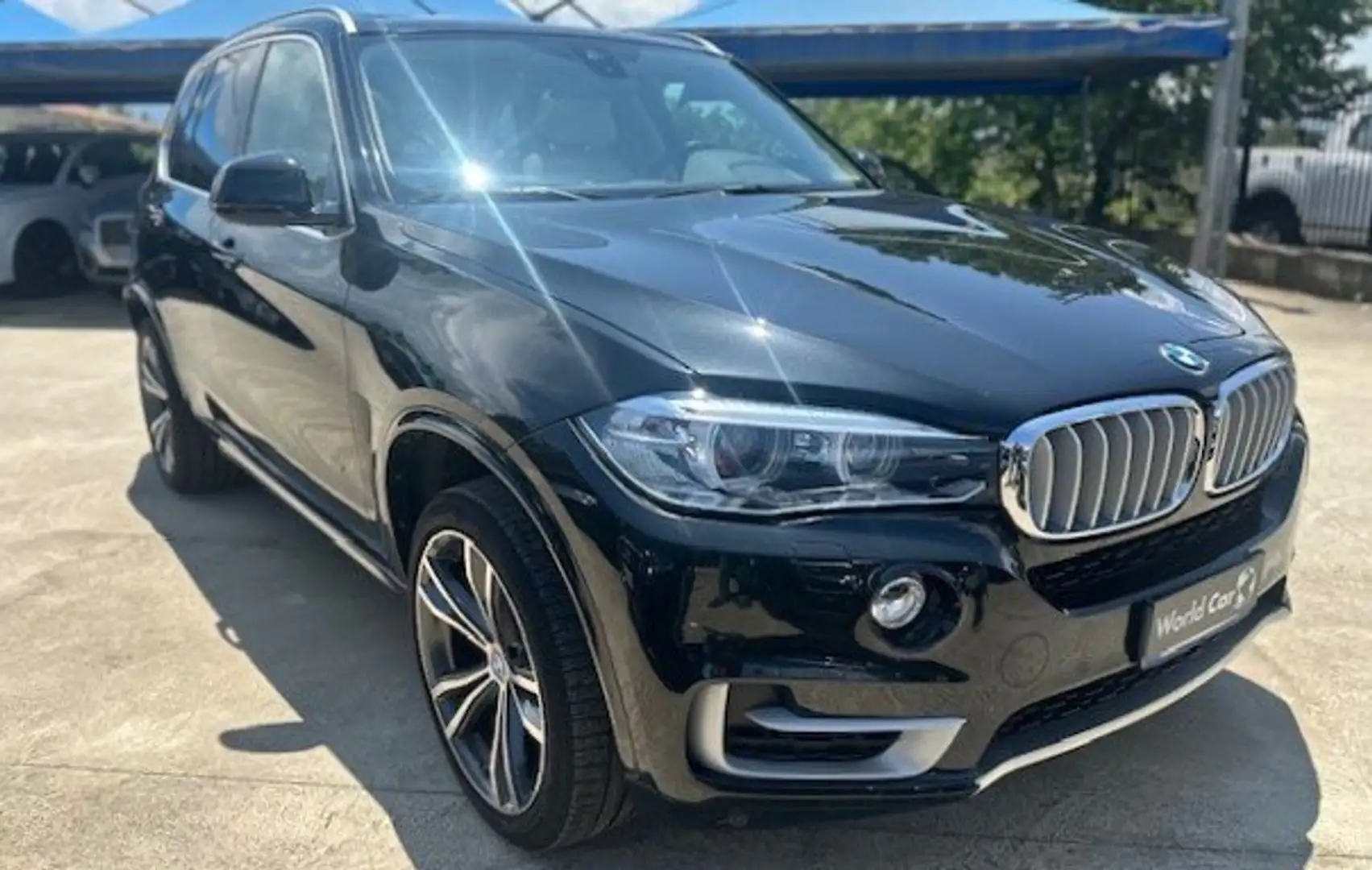 BMW X5 X5 sdrive25d Luxury 231cv auto Nero - 1