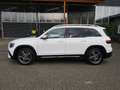 Mercedes-Benz GLB 200 d Aut. AMG Line Business Navi Pano LED Weiß - thumbnail 6