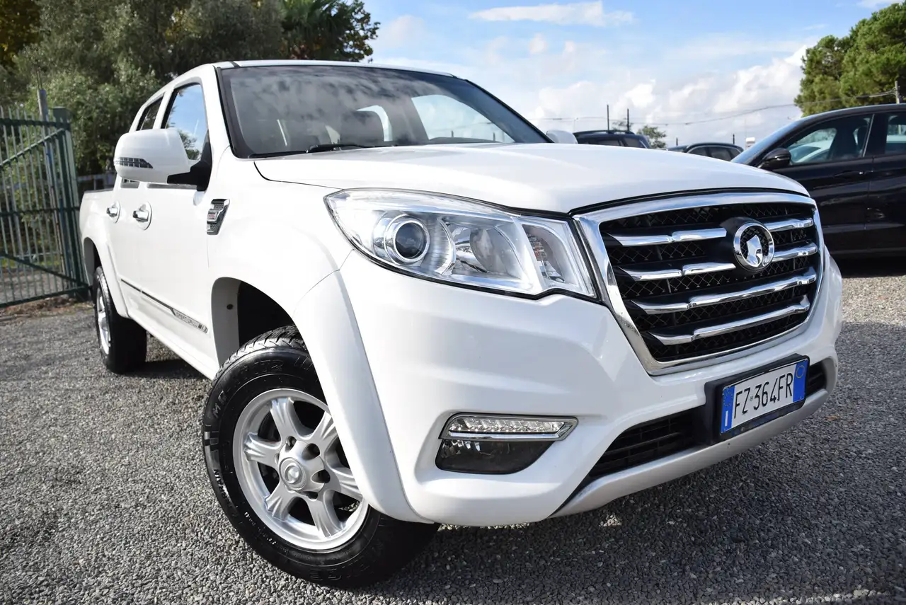 Great Wall Steed