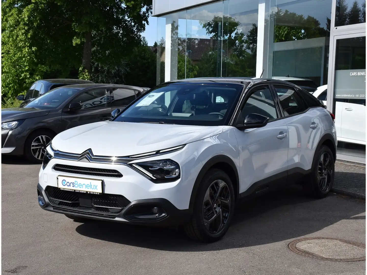 Citroen C4 1.5 BlueHDI Plus EAT8 REGUL CAM LANE NEUVE Blanc - 2
