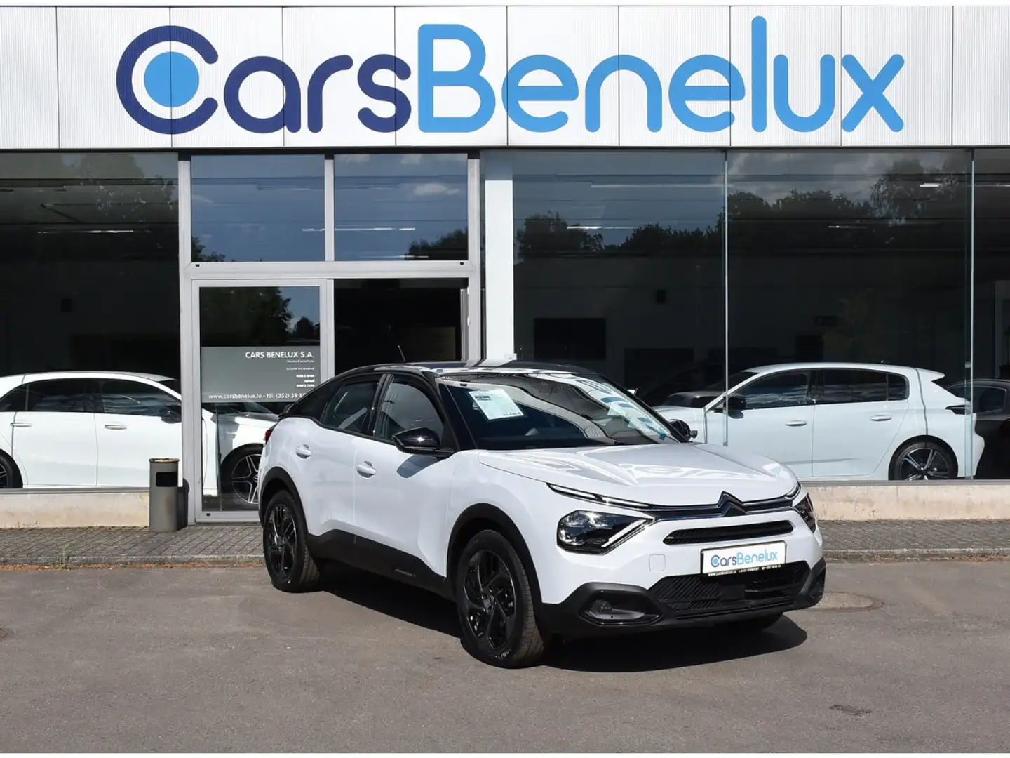 Citroen C4 1.5 BlueHDI Plus EAT8 REGUL CAM LANE NEUVE Blanc - 1
