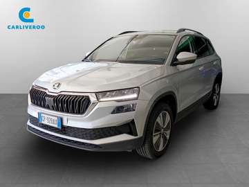 2.0 tdi evo scr Executive 115cv dsg