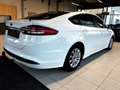 Ford Mondeo Trend 2,0 EcoBlue SCR Aut. Weiß - thumbnail 6