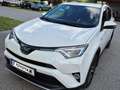 Toyota RAV 4 RAV4 2,5 Hybrid Active 4WD Aut. Active Weiß - thumbnail 2