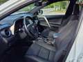Toyota RAV 4 RAV4 2,5 Hybrid Active 4WD Aut. Active Weiß - thumbnail 8