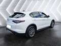 Alfa Romeo Stelvio Stelvio 2.2 Turbodiesel 160 CV AT8 RWD Sprint - thumbnail 5