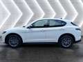 Alfa Romeo Stelvio Stelvio 2.2 Turbodiesel 160 CV AT8 RWD Sprint - thumbnail 8
