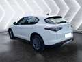 Alfa Romeo Stelvio Stelvio 2.2 Turbodiesel 160 CV AT8 RWD Sprint - thumbnail 7