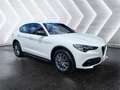 Alfa Romeo Stelvio Stelvio 2.2 Turbodiesel 160 CV AT8 RWD Sprint - thumbnail 3