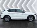 Alfa Romeo Stelvio Stelvio 2.2 Turbodiesel 160 CV AT8 RWD Sprint - thumbnail 4