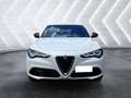 Alfa Romeo Stelvio Stelvio 2.2 Turbodiesel 160 CV AT8 RWD Sprint - thumbnail 2