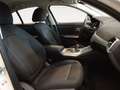 BMW 330 330e Blanco - thumbnail 10