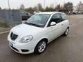 Lancia Ypsilon Ypsilon II 1.2 8v Platino unico proprietario pelle Weiß - thumbnail 1