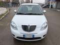 Lancia Ypsilon Ypsilon II 1.2 8v Platino unico proprietario pelle Weiß - thumbnail 3