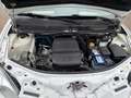 Lancia Ypsilon Ypsilon II 1.2 8v Platino unico proprietario pelle Weiß - thumbnail 12
