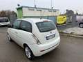 Lancia Ypsilon Ypsilon II 1.2 8v Platino unico proprietario pelle Weiß - thumbnail 5