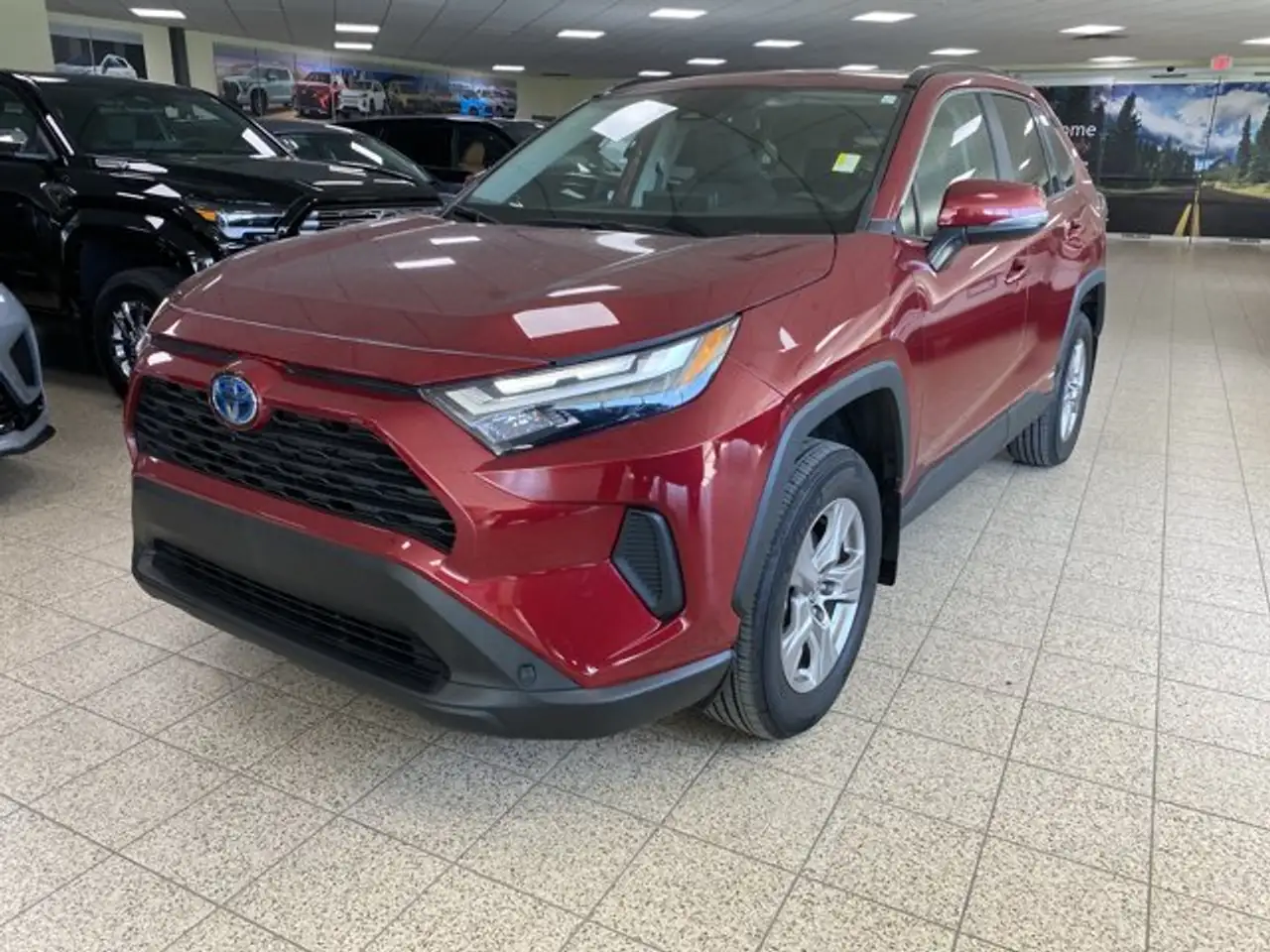 2023 Toyota RAV 4
