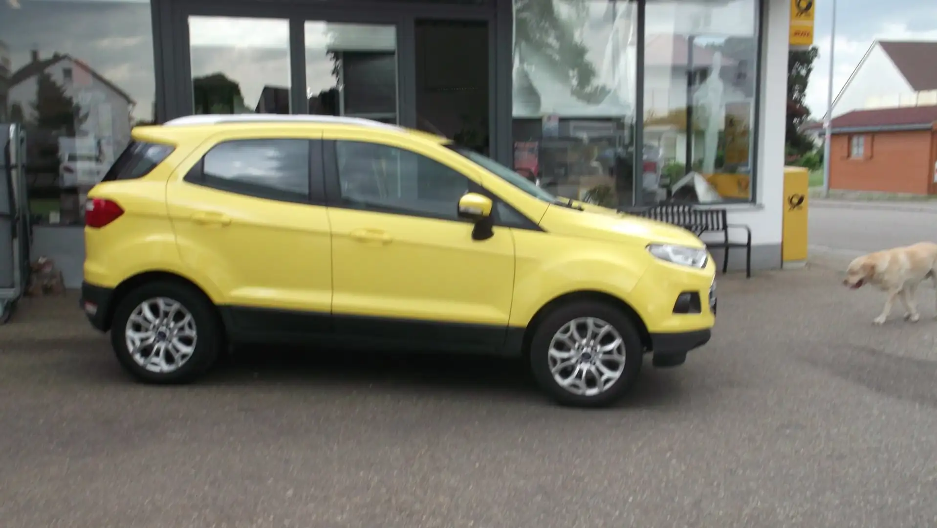 Ford Ford EcoSport 1.0 EcoBoost Trend 1.0 EcoBoost EU6 Żółty - 2