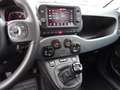 Fiat New Panda 1.0 Hybride Blu/Azzurro - thumbnail 3
