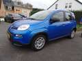 Fiat New Panda 1.0 Hybride Blu/Azzurro - thumbnail 15
