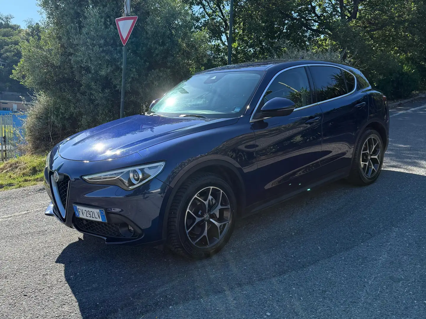 Alfa Romeo Stelvio Stelvio 2.2 t Super Q4 190cv auto my19 Blu/Azzurro - 2